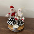 Pineapple with snow (Duo)