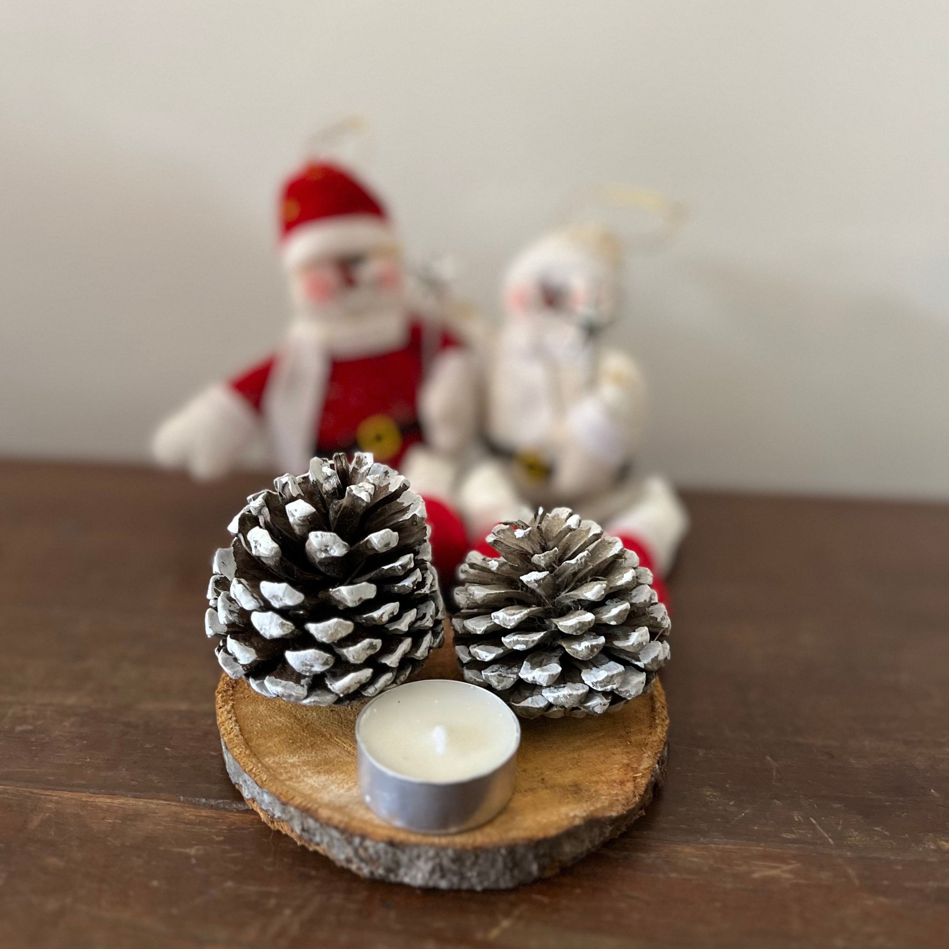 Pineapple with snow (Duo)