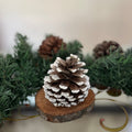 Pineapple with snow (Simple)
